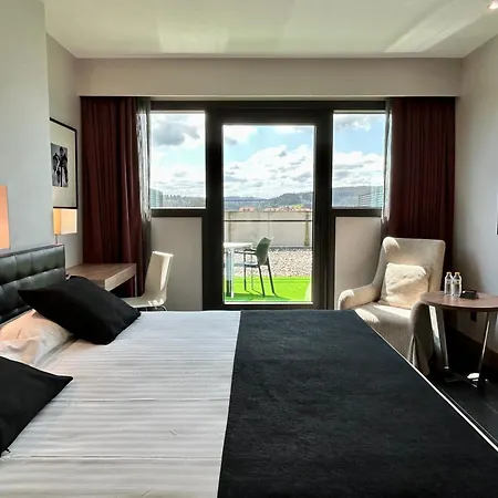 Urh Zen Balagares Overo