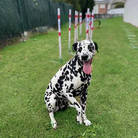 Hotel Urh Zen Balagares Overo