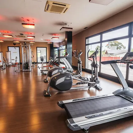 Urh Zen Balagares Overo