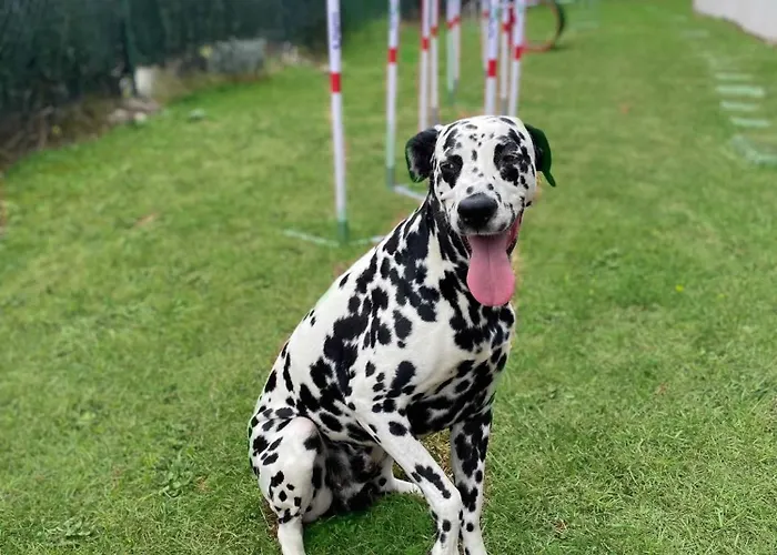 Hotel Urh Zen Balagares Overo