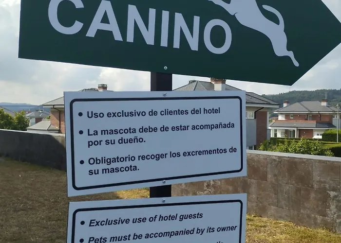 Urh Zen Balagares 4* Overo