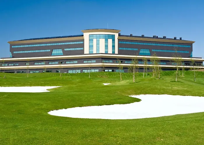 Urh Zen Balagares Overo