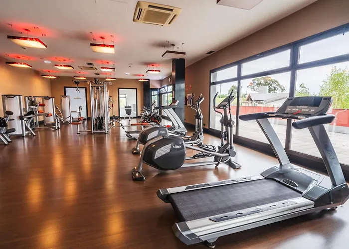 Urh Zen Balagares Overo