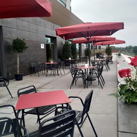 Urh Zen Balagares Overo