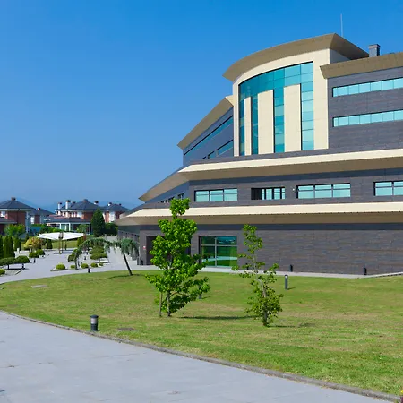 Urh Zen Balagares Overo