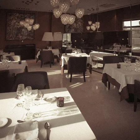 Urh Zen Balagares Overo