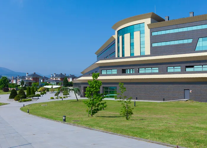 Urh Zen Balagares Overo